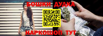 индика Будённовск