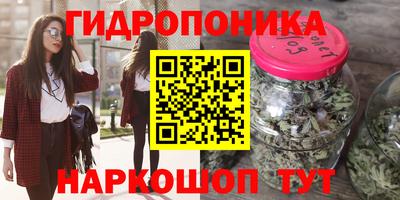 индика Будённовск
